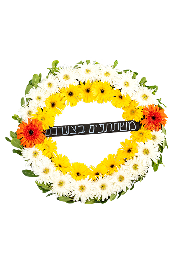 גלגל אבל 150 שח