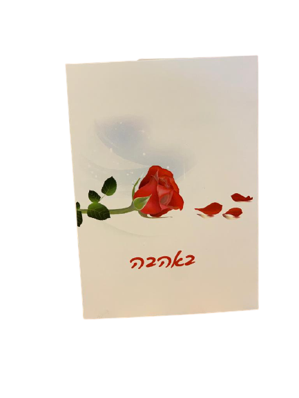 ברכה גזור 2