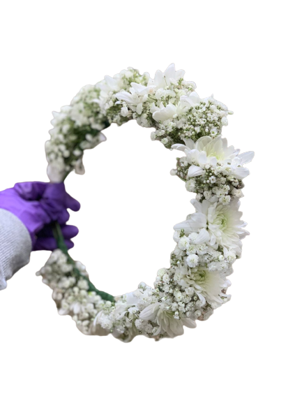 שקוף 8