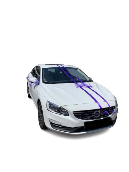 קישוט רכב סגול